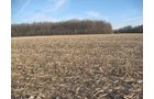 Property photo 14 - 44 Acres Offered in 3 Tracts